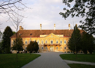 DocImage_800